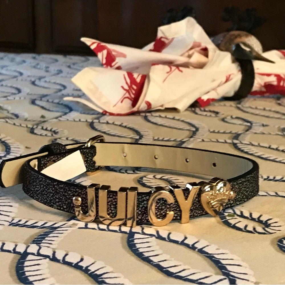 Juicy Couture Dog Collar